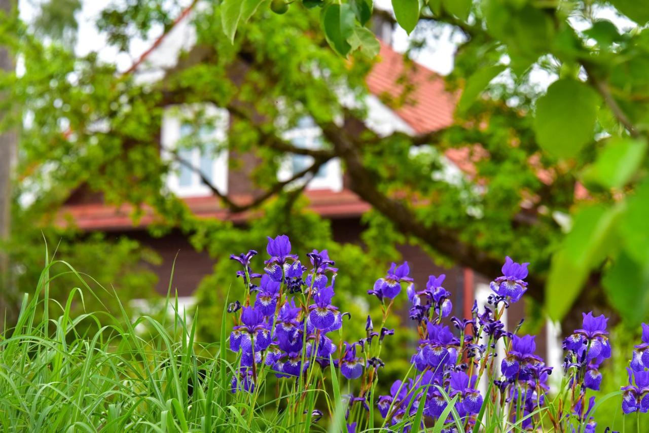 Sunny Beaver B&B Trakai Exteriör bild