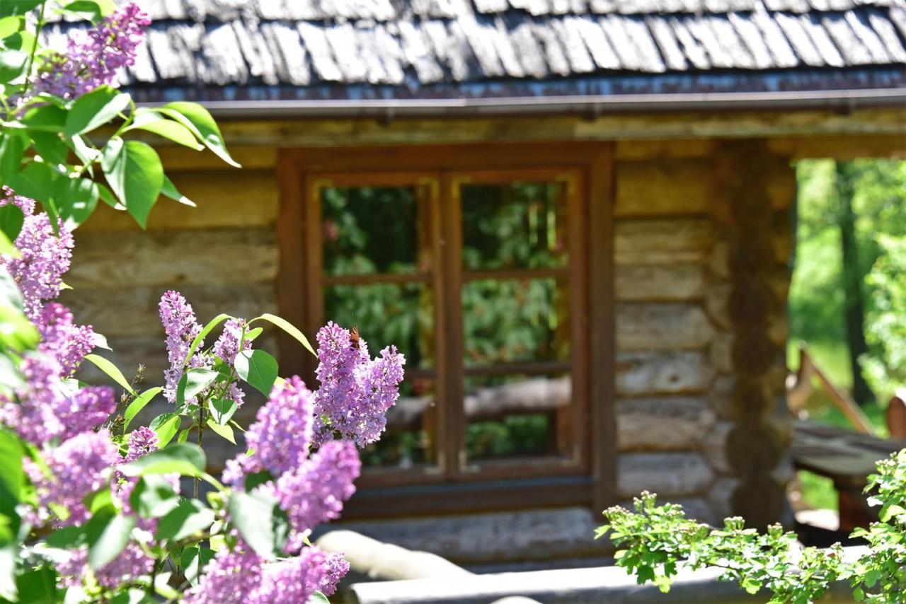 Sunny Beaver B&B Trakai Exteriör bild